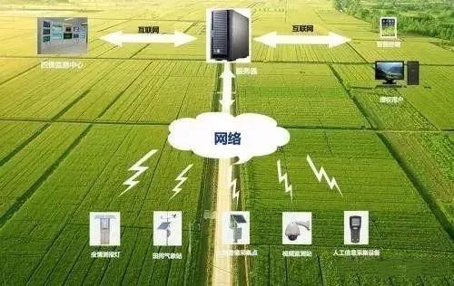 未來(lái)農(nóng)業(yè)科技暢想曲 從植物工廠到智慧餐桌的數(shù)字化革命